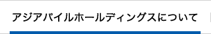 アジアパイルホールディングスについて